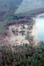 26. 1999 Vanuatu Earthquake And Tsunami