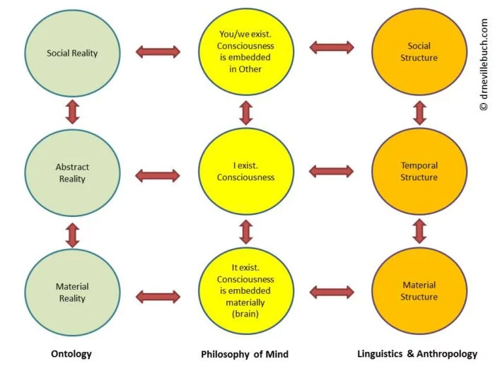 What are the reasons for misunderstanding? Systems of Cognitive Pathological Misunderstanding